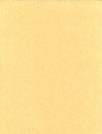 Light Parchment 5 Pack (8 1/2" x 11")