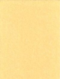 Light Parchment 500 Pack (8 1/2" x 11")