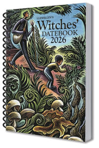 2026 Witches Datebook by Llewellyn